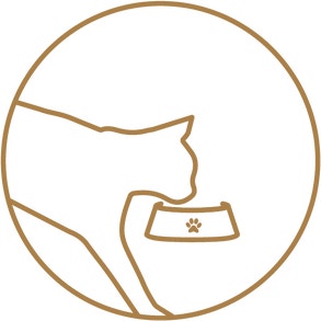 dine_icons_4