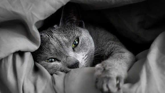 Hiding spaces