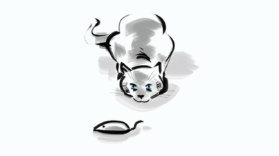 Cat Play 3