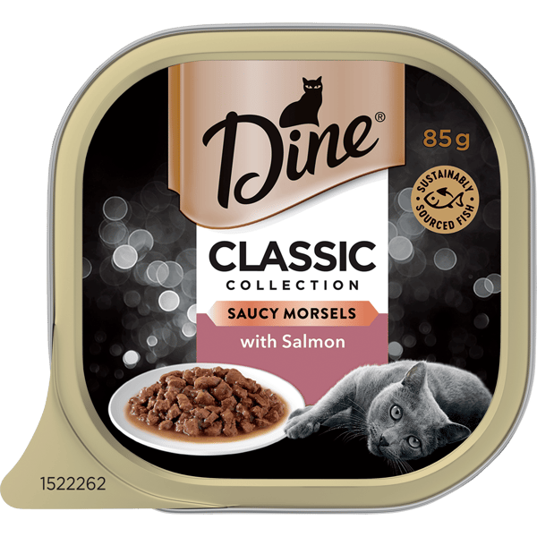 image DINE%20Classic%20Collection%20Saucy%20Morsels%20with%20Salmon%2085g-0-min