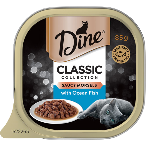Dine kitten food deals