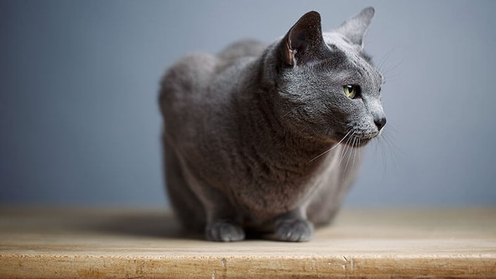 resilient-capably-independent