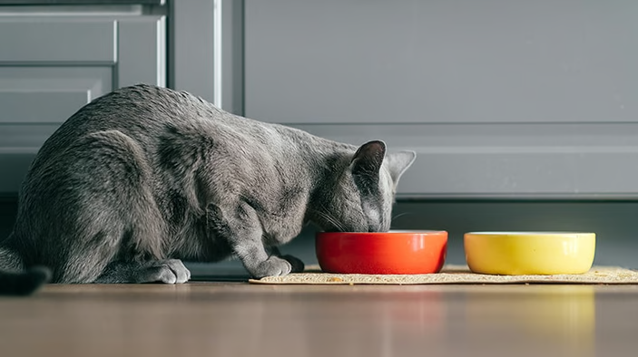 Instant gratification