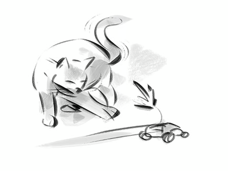 Toy time in overdrive