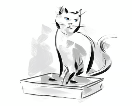 definitely wasn't me