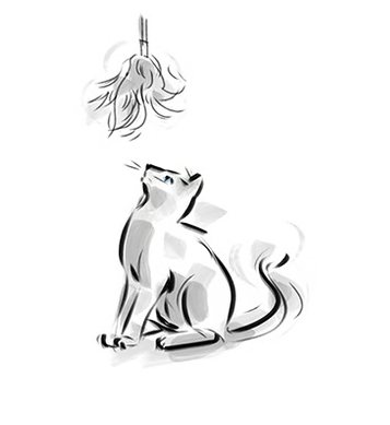 Entice them with teaser toys