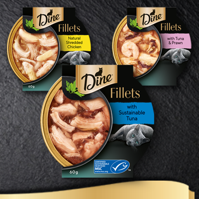 fillets category image