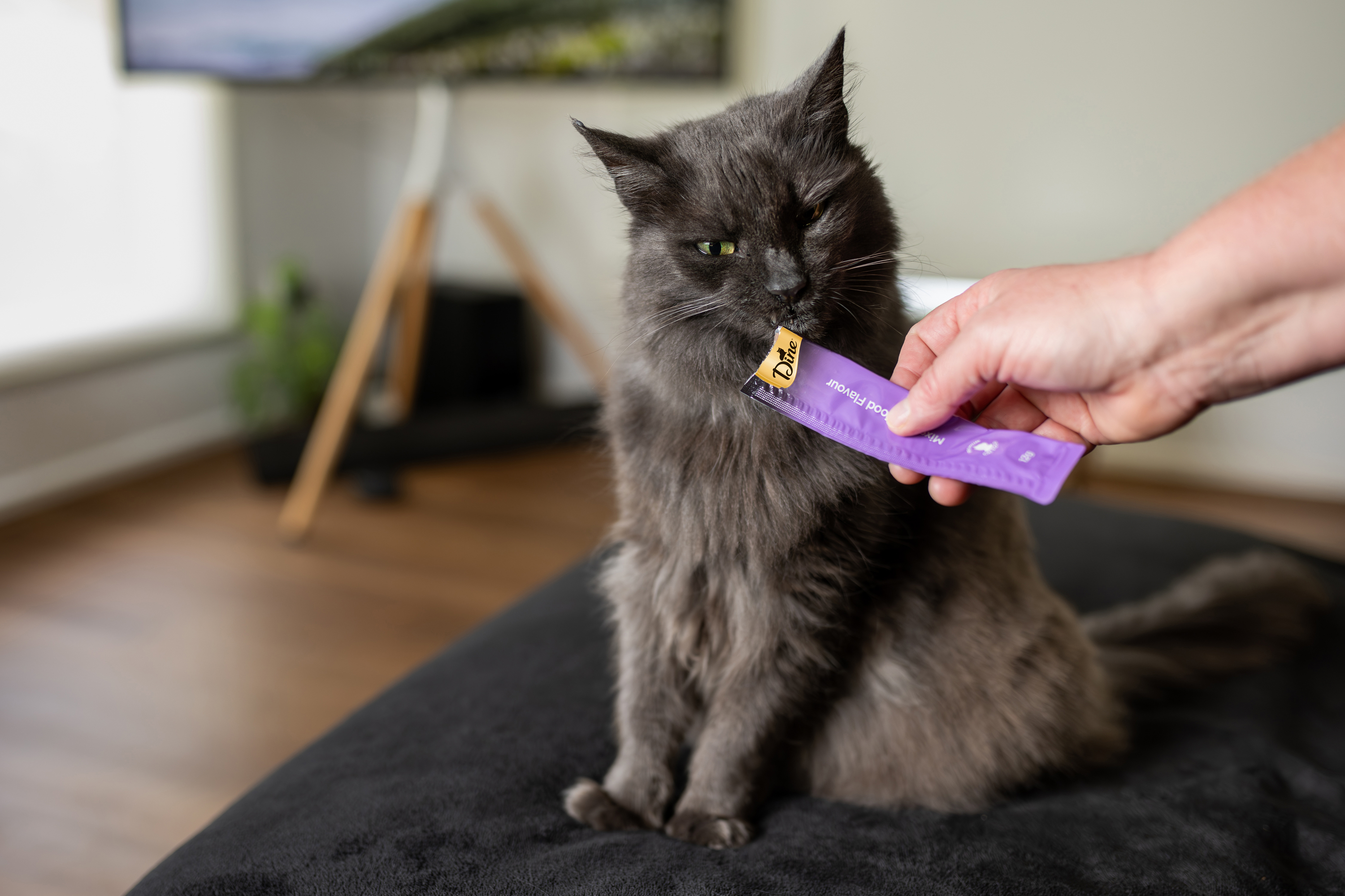 Cat licking a Dine creamy treat sachet.