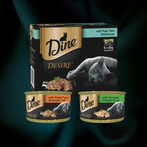 Dine desire cans