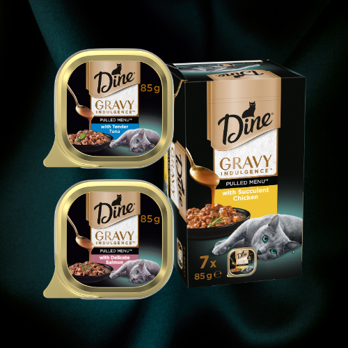 Dine Gravy Indulgence