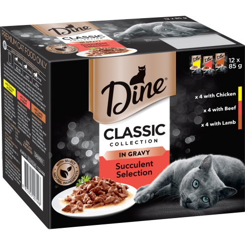 DINE® Classic Collection Succulent Selection in Gravy Pouch 12pk