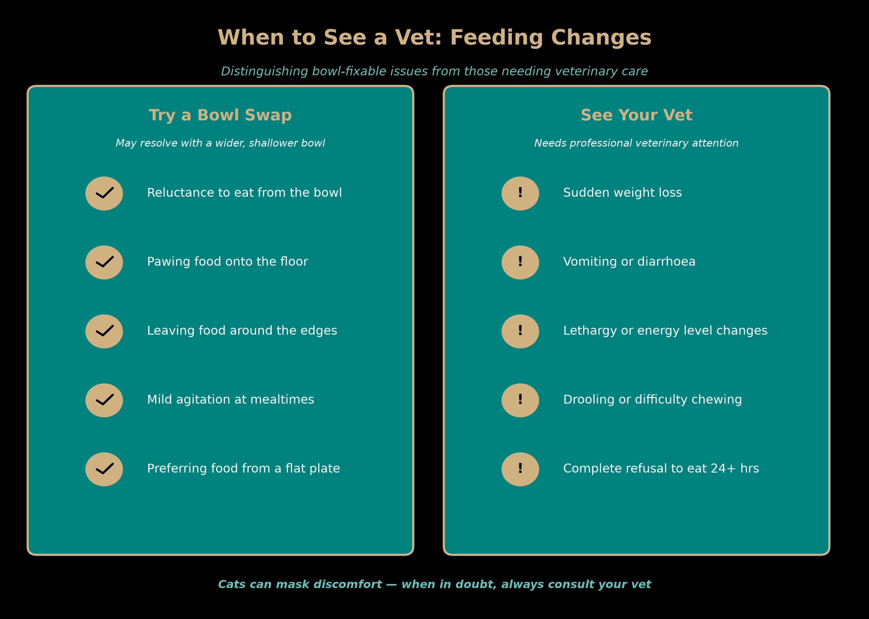 when to see a vet: feeding changes